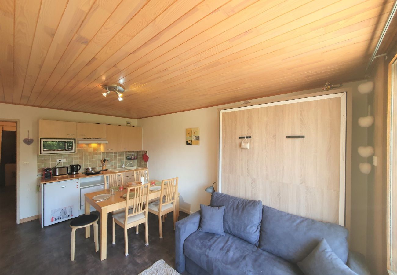 Studio in Les Deux Alpes - Studio 4/6 ppl, balcony, center station