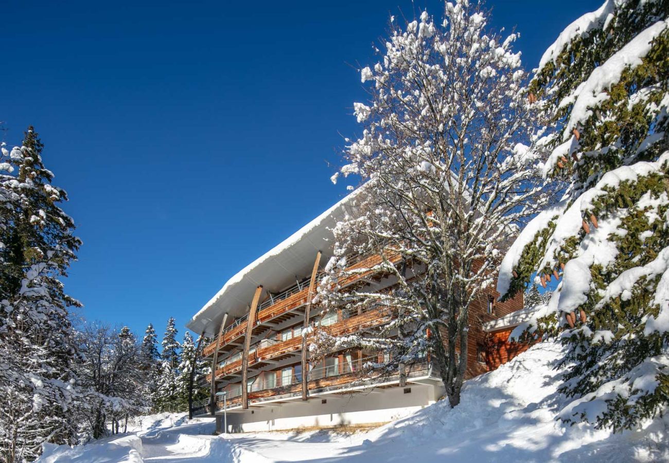 Apartment in Chamrousse - Spacious apt 8 ppl, terrace, near the ski station