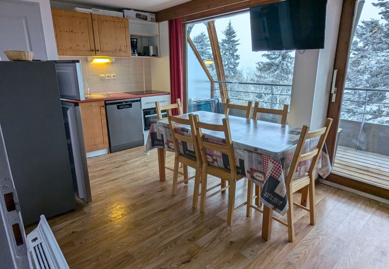 Apartment in Chamrousse - Spacious apt 8 ppl, terrace, near the ski station