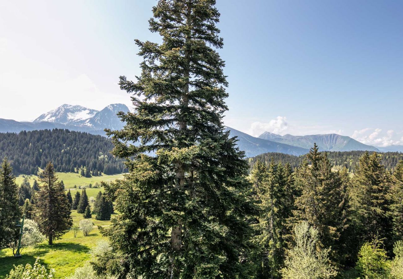 Studio in Chamrousse - Wondrful apt 4/6 ppl near the ski station, mountains view from balcony