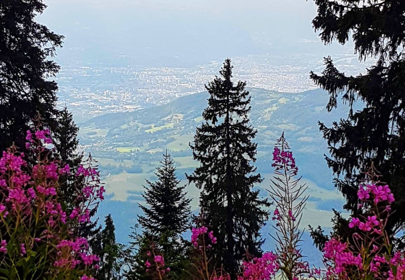 Apartment in Chamrousse - Cosy apt 4 ppl, near the ski runs