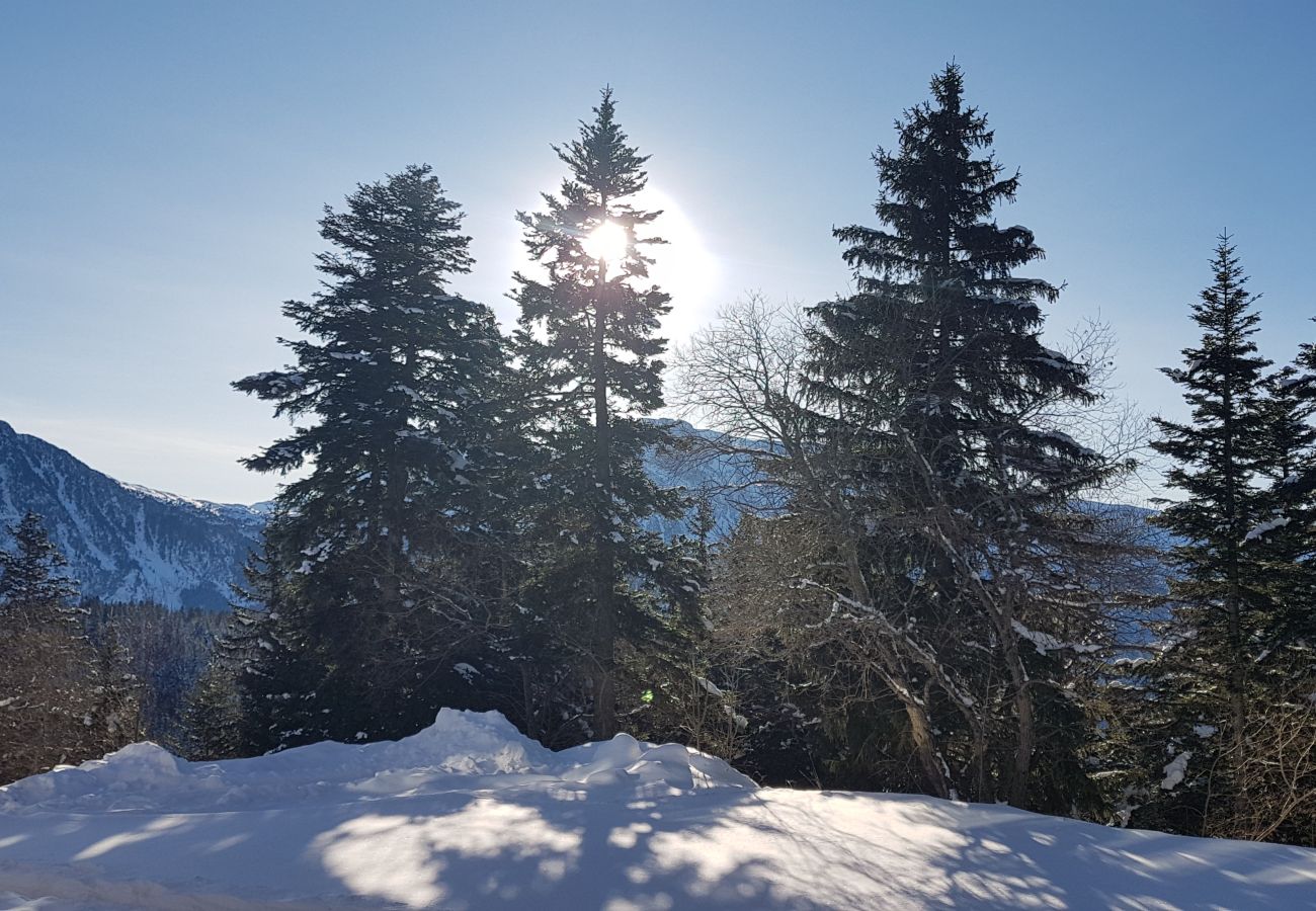 Apartment in Chamrousse - Cosy apt 4 ppl, near the ski runs