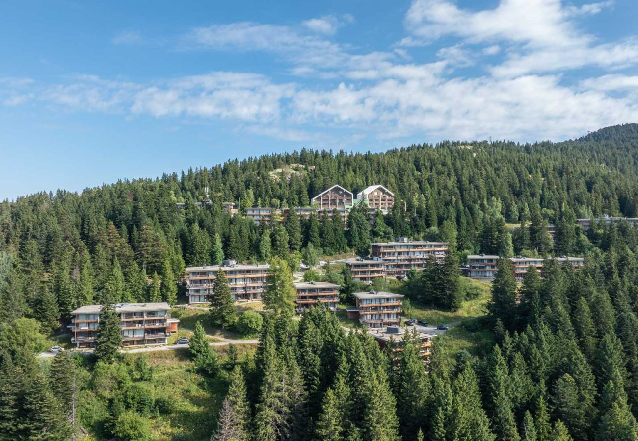 Apartment in Chamrousse - Apt 4/6 ppl near the ski runs