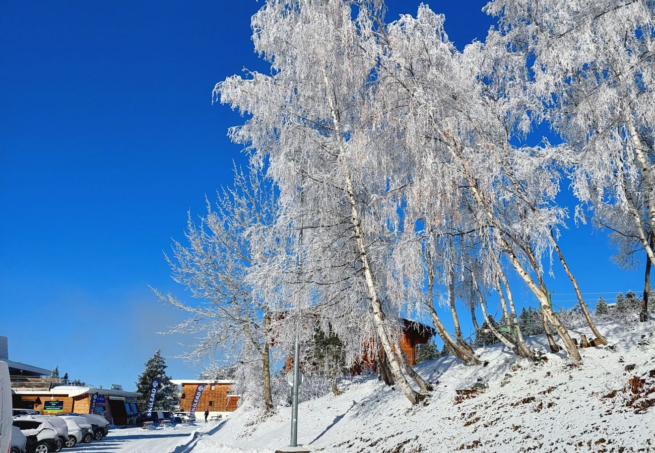 Apartment in Chamrousse - Apt 5 ppl near the ski runs