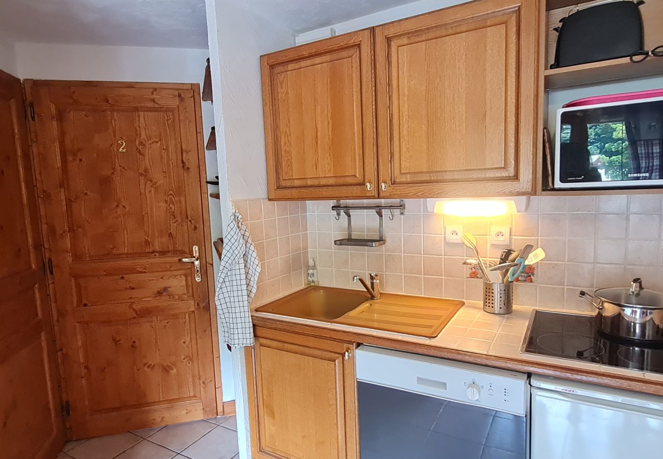 Apartment in Les Deux Alpes - Charming, well-equipped 4/6 pers Apt