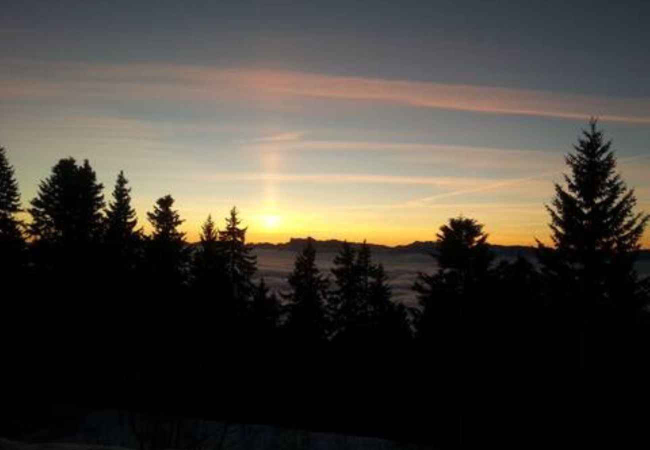 Chalet in Chamrousse - Unusual chalet, 2 ppl, terrace with mountain view.