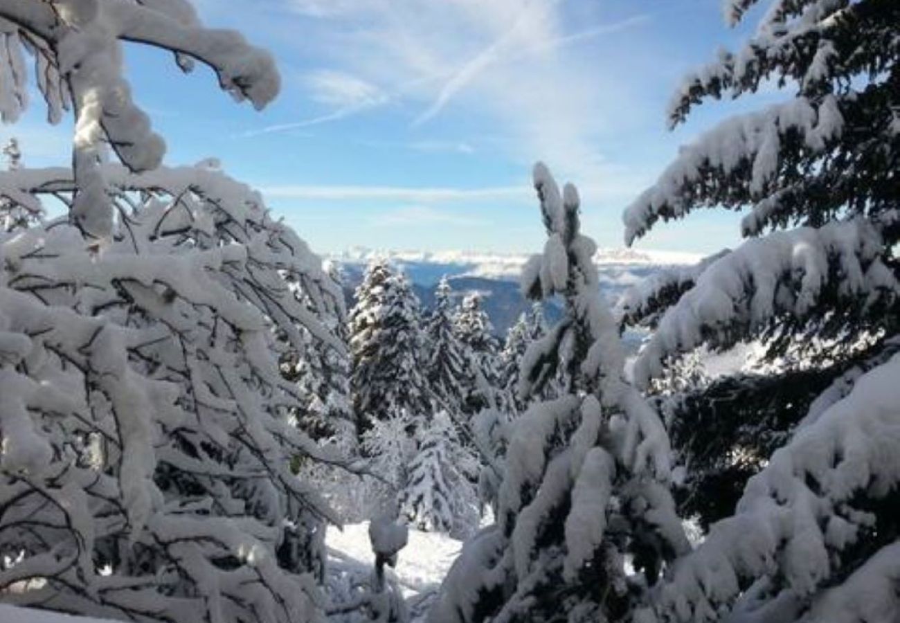 Chalet in Chamrousse - Unusual chalet, 2 ppl, terrace with mountain view.