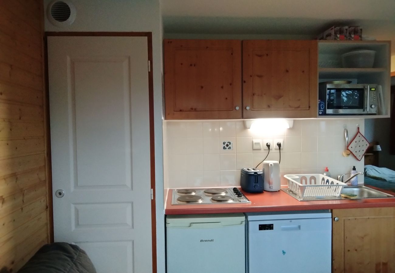 Apartment in Chamrousse - Nice Apt for 6Pers Ski-in Ski-out