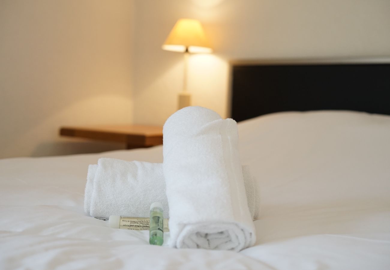 Apartment in Giez - Duplex apartment, sleeps 10, nature view