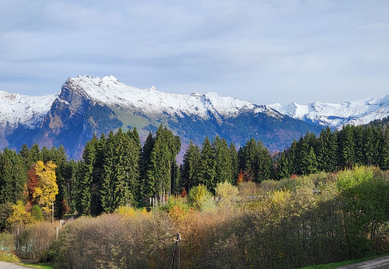 Studio in Morillon - Nice Apt for 4 pers near the slopes