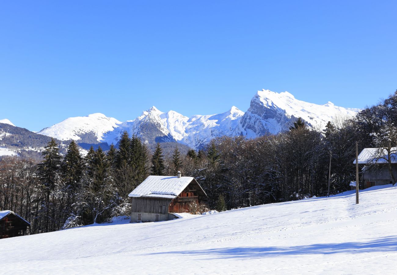 Appartement à Morillon - Appt chaleureux 6 pers, balcon, pistes au pied