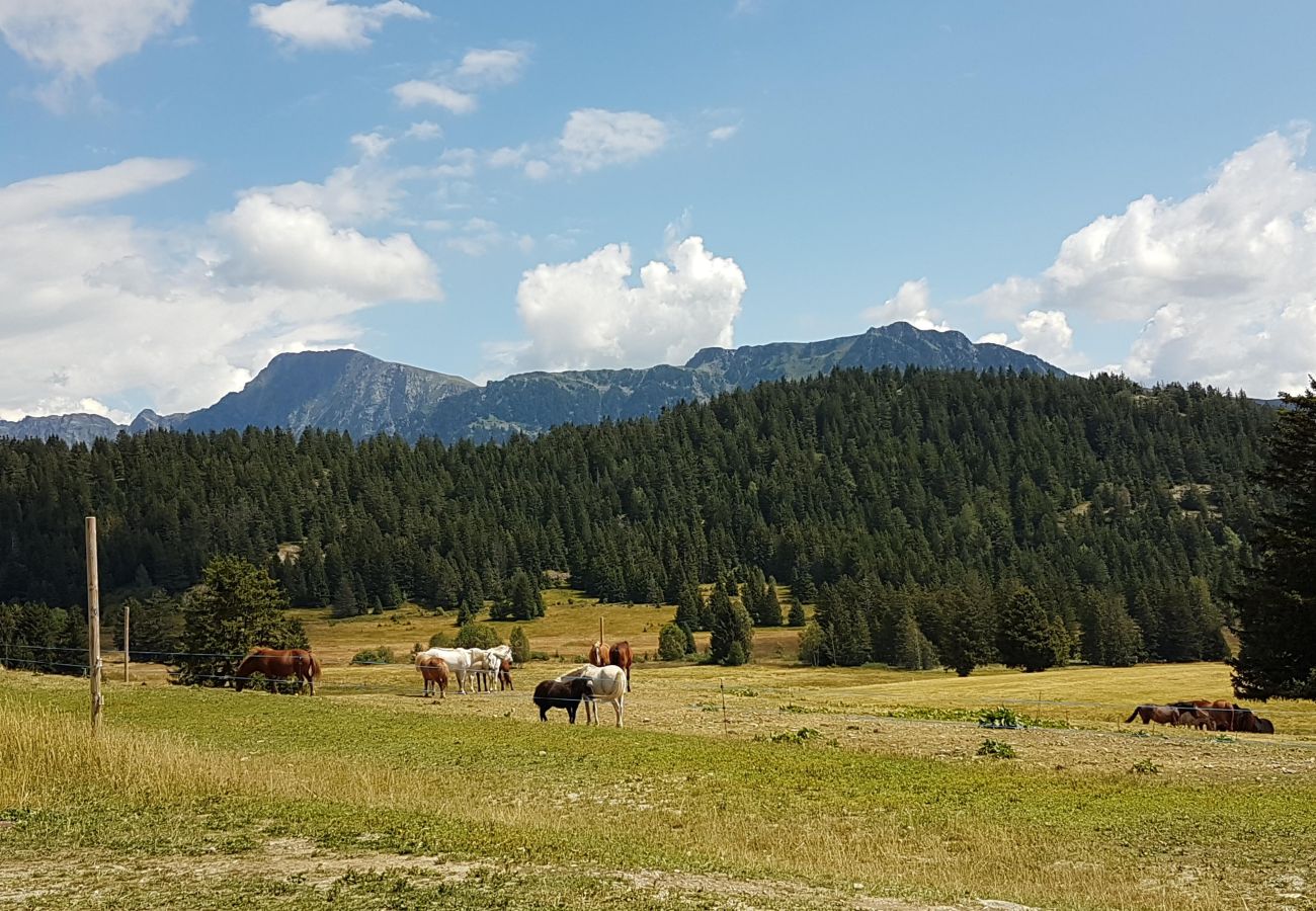 Appartement à Chamrousse - Appt chaleureux 4 pers, près des pistes