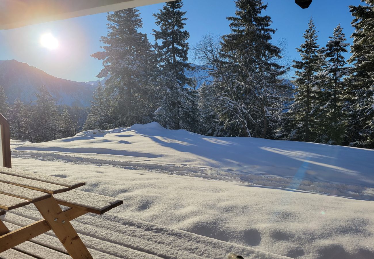 Appartement à Chamrousse - Appt chaleureux 4 pers, près des pistes