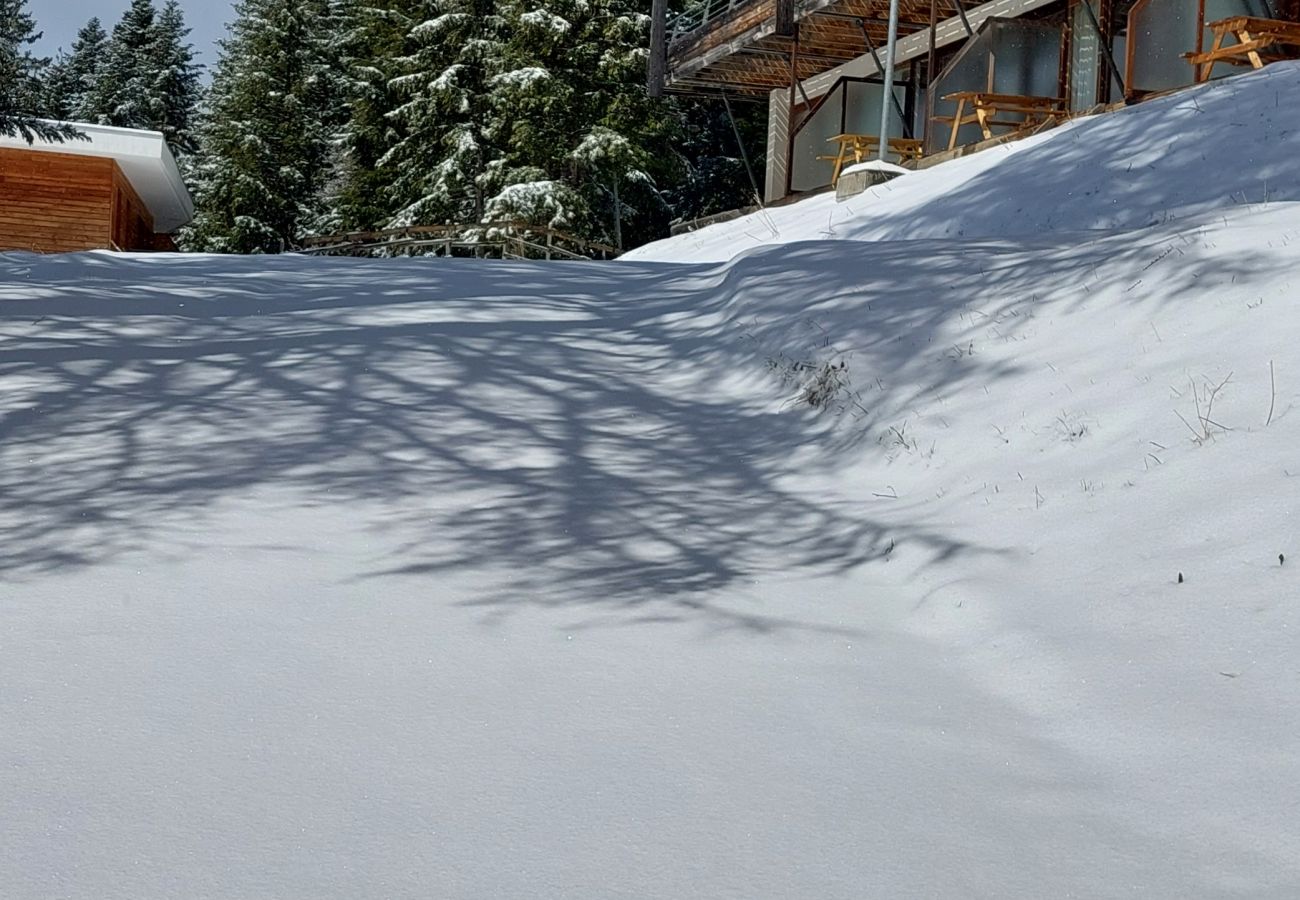 Appartement à Chamrousse - Appt chaleureux 4 pers, près des pistes