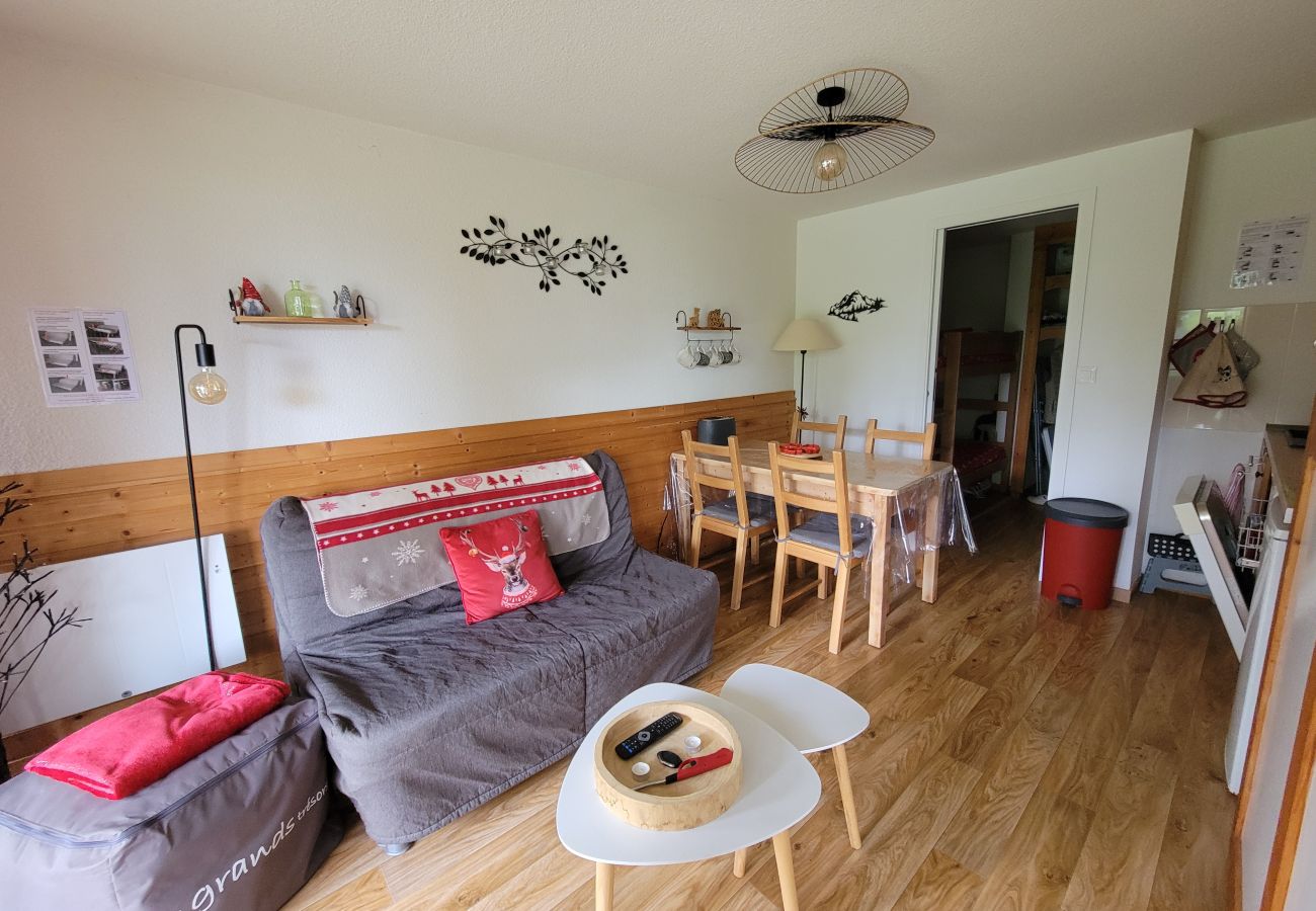 Appartement à Chamrousse - Appt chaleureux 4 pers, près des pistes