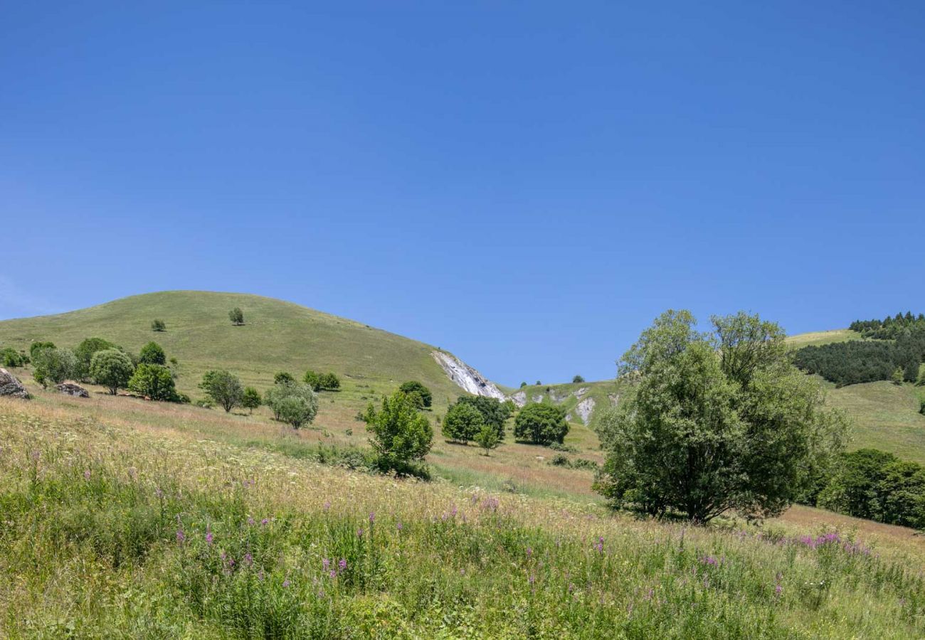 Appartement à Saint-Sorlin-d´Arves - Chalet 5 pers, terrasse, près des pistes 