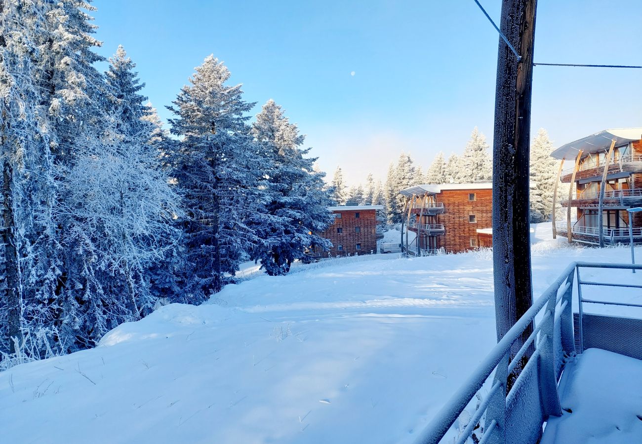 Appartement à Chamrousse - Appt 5 pers chaleureux près des pistes