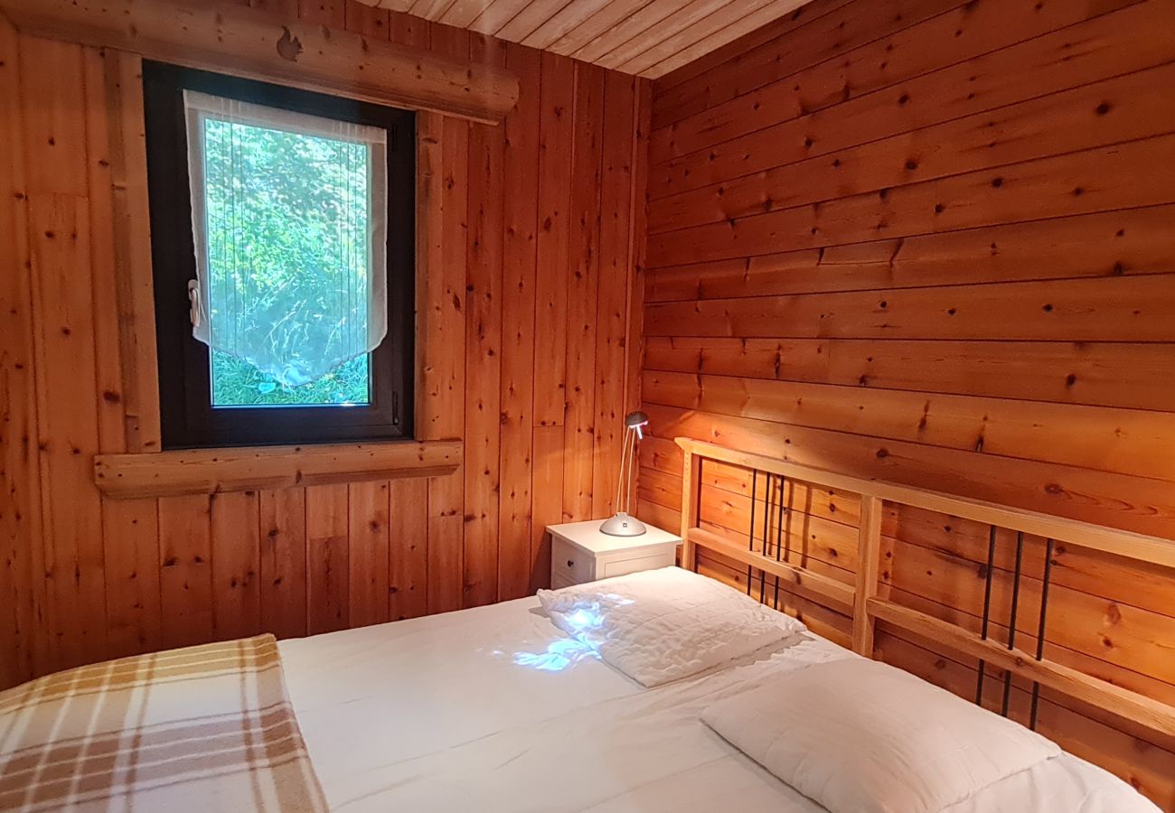 Appartement à Les Deux Alpes - Bel Appt pour 7 pers vue montagne