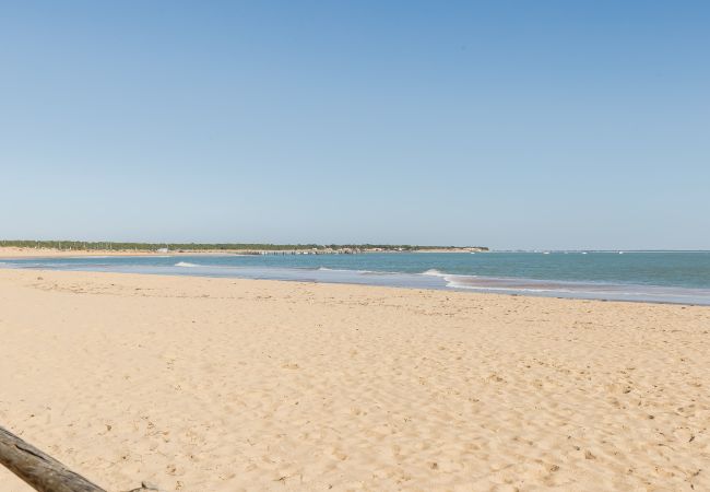 Appartement à La Tranche-sur-Mer - Bel Appt 5 pers en bord de plage avec piscine
