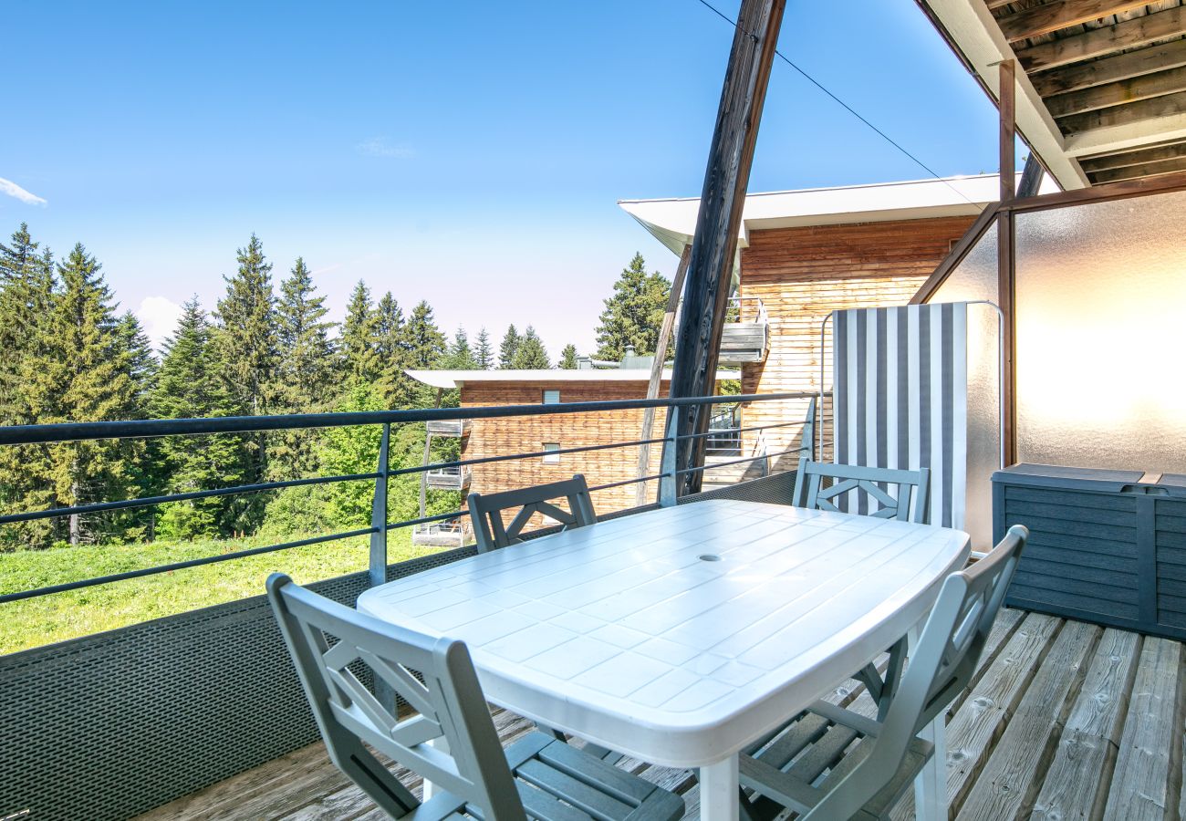 Appartement à Chamrousse - Appartement familial, balcon vue montagne